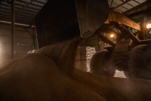 NIK 5734 Киселев Вячеслав, бренд - дизайнер: логотипы, фирменный стиль, сайты