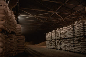 NIK 5775 Киселев Вячеслав, бренд - дизайнер: логотипы, фирменный стиль, сайты